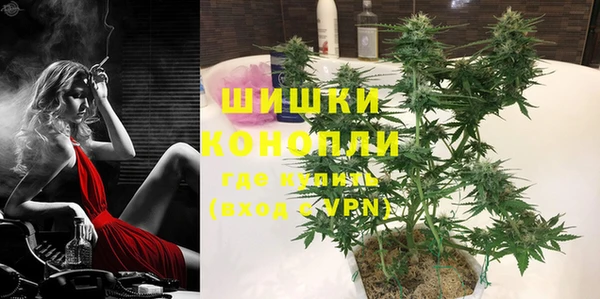 мдпв Михайлов