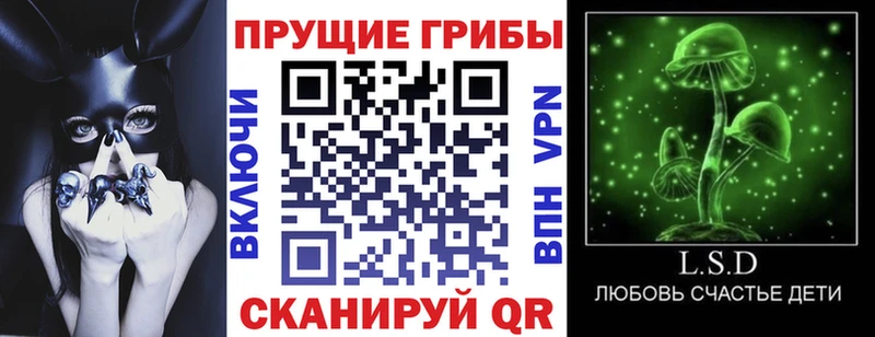 Псилоцибиновые грибы прущие грибы  купить закладку  blacksprut   нарко площадка телеграм  Альметьевск 